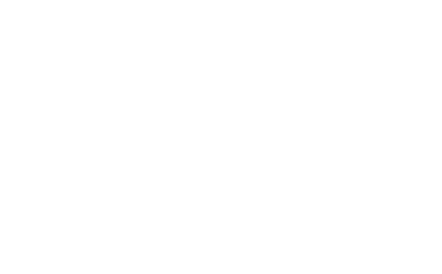 Vallei Auto Groep